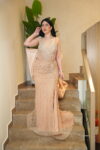 Rose Gold Crustal Embellised Dress for evenings